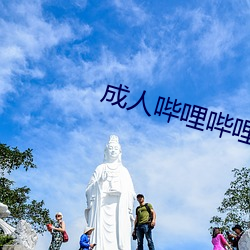 成人哔哩哔哩