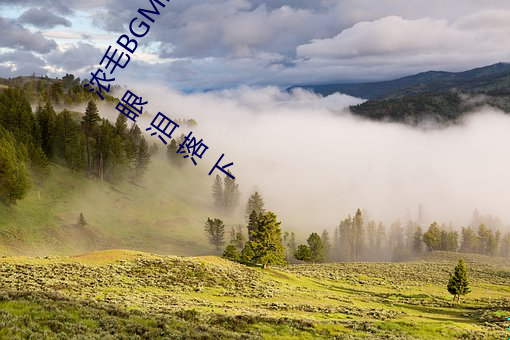 浓毛BGMBGMBGM胖老太太让无数人驻足?知道真相后我眼泪(lèi)落(luò)下(xià)