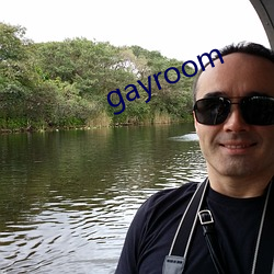 gayroom