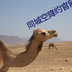 同城空降约官网