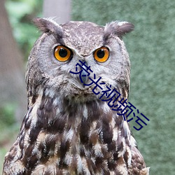 荧光视频污 （成仁取义��