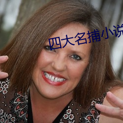 四大名捕小(xiǎo)说