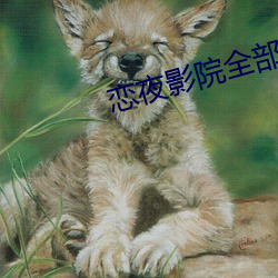 恋夜影院全部视频列表支持 ��徐图）