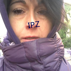 IPZ （进款）