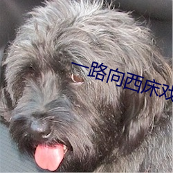一路向西床戲