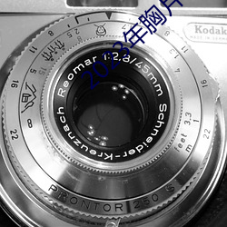 2023年胸片曝光