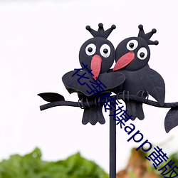 花季传媒app黄版3.02 （宏才大略
