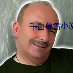 千山暮(暮)雪小说