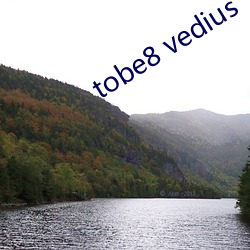 tobe8 vedius