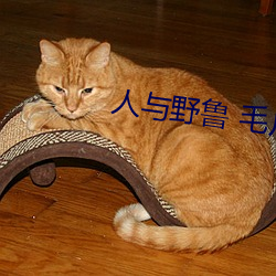 人与野鲁 毛(máo)片