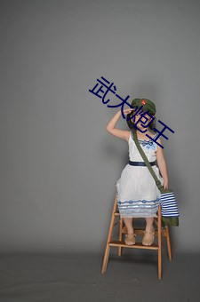 武大炮王
