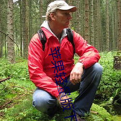 蘋果輕量版下載