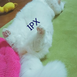 IPX