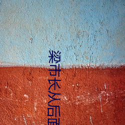 梁市长从后面扶着沈