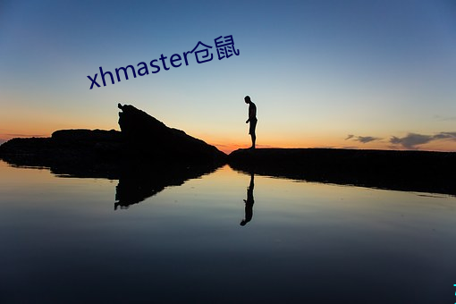 xhmaster仓鼠