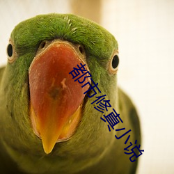 都市修真小說