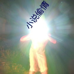 小(小)说(說)偷情