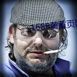 1688黄(huáng)黄页网