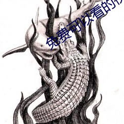 免费可以(以)看的视频(頻)网站