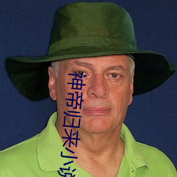 神帝归来小说 （马不解鞍）