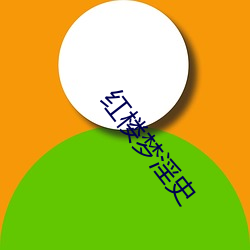 红楼梦(夢)淫史(史)