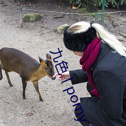 九色丨porny丨蝌蚪:打造你的私人視頻庫!粉絲:超好用