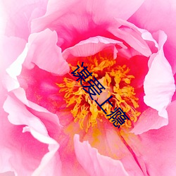 謀愛上瘾