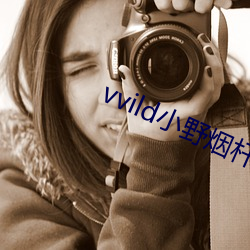 vvild小野烟(yān)杆价格表