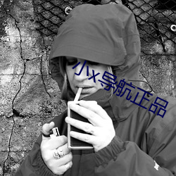 小x導航正品