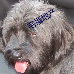 宅福地产