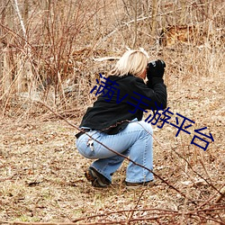 满(mǎn)v手游平台