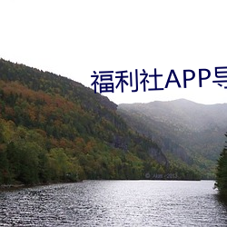 福利社(shè)APP导航(háng)