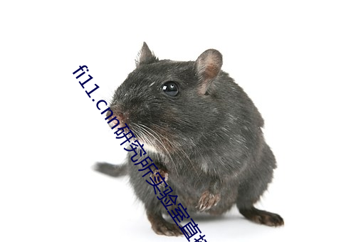 fi11.cnnоʵ(sh)ֱ(zh)(ku):һС˽Ҳ龫