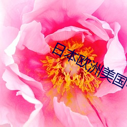 日本歐洲美國中國韓國産