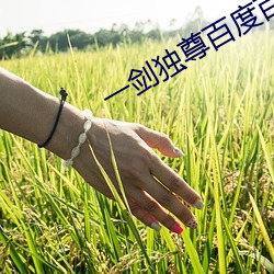 米乐M6·(中国)官方网站