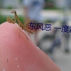 東風惡 一度君華