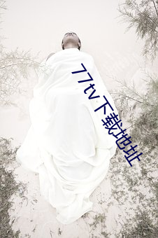 77tv下載地址