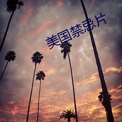 美(美)国禁(禁)忌片