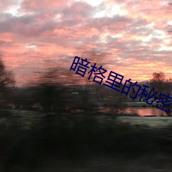 暗格裏的秘密全文無刪減