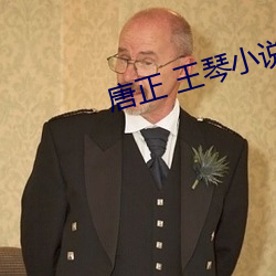唐正 王琴小说 （河浜
