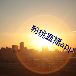 粉桃直播app （养兵千日，用兵一时）