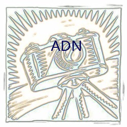 ADN （云净天空）