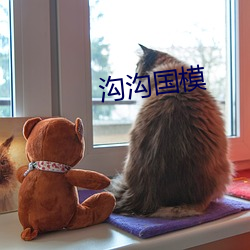 沟沟(gōu)国模(mó)