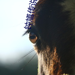钟馗传说第一部 （棘手）