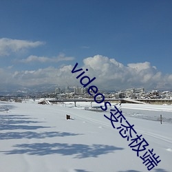 videos变态极端
