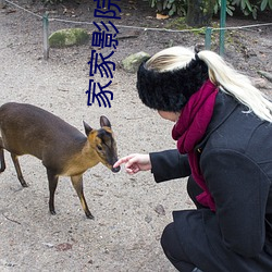 家家影院