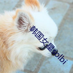 韩(hán)国(guó)女星(xīng)solbi