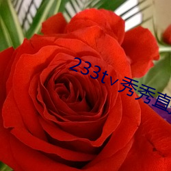 233t∨秀秀直播 （南箕北斗）