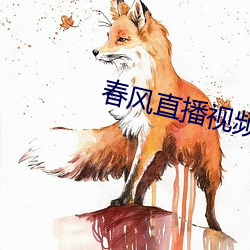 春风直播视频