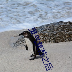 AG真人平台(中国)官方网站